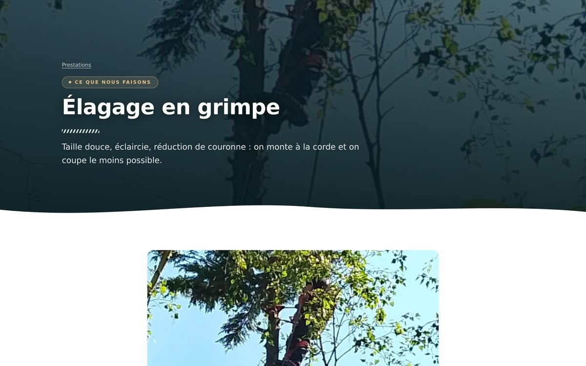 Une page par prestation — L.A Environnement
